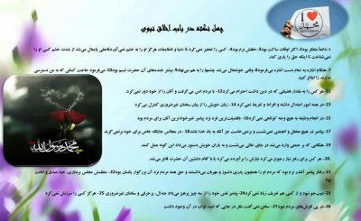 امت محمدی (مجموعه فعالیت های فرهنگی و پژوهشی مدرسه زینبیه با توجه به هفته وحدت امت اسلامی )